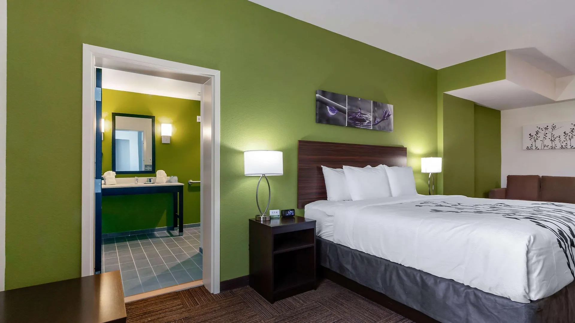 Hotel Sleep Inn & Suites Tampa South
